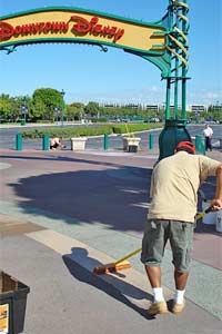 orange-crete brush in Disney